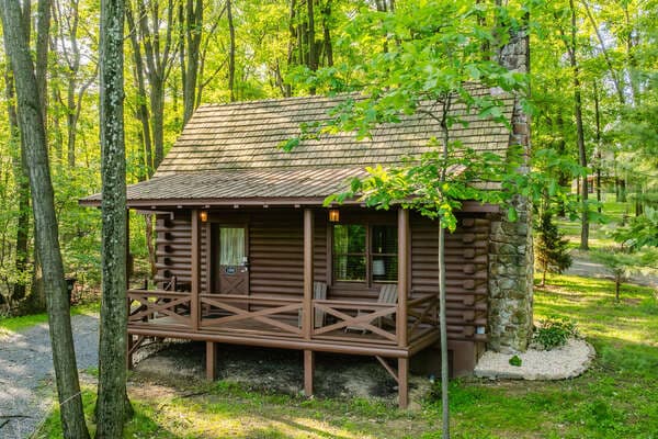 Cabin in the Woods