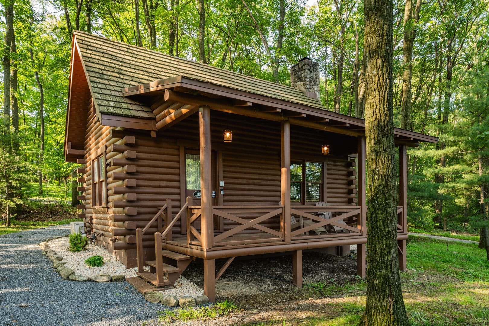 Cabin in the Woods