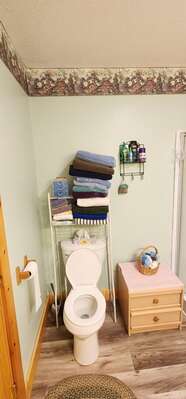 This is the only bathroom on the ground level away from the rest of the living area upstairs